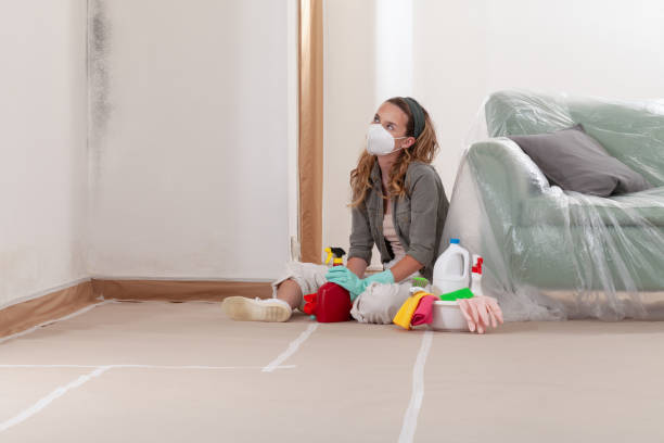 Reliable Mold Testing contractor in Mechanicsville, MD by WQB Mold Removal